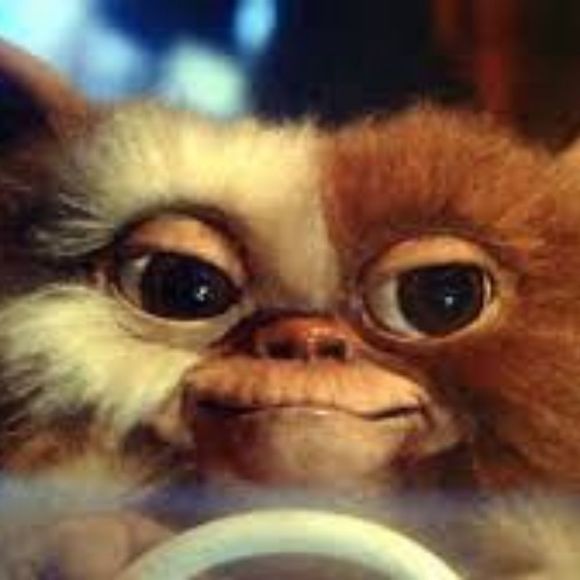 Meet your Posher, Kurt - Picture 1 of 1